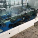 어부명가 이미지