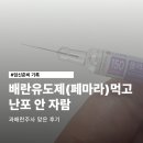 자람 | 배란유도제 먹고 난포 안 자람 과배란주사 후기