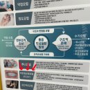 삼성동-7 | 안면비대칭 교정 비용 삼성동한의원 10일 후기