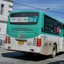 대원A장미 이미지