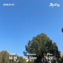 나그네식당 | 104. 나그네의 상해 하늘 일기🌤｜Wekuum(위쿰) 두쫀쿠 후기, 설야미, MiThai(태국음식), Money Shops...