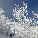 2/3 강원 태백 태백산(1,567m) 산행 안내 이미지