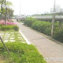레스토랑펍피 이미지