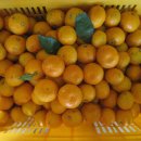 찬조농장 이미지