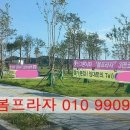 송산봄약국 이미지