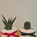 갈매사회복지관 | 구리시 가드닝 클래스 &amp; 미니정원 주문제작｜조이풀 겨울 플랜테리어