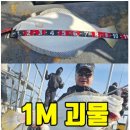 인천 연안부두 선상출조 괴물 대광어(1m4cm) 대박조황 후기