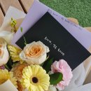 몰디브 신혼여행 준비물 리스트 쿠라마티 리조트 6박8일 BAI