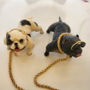 서촌동 댕번지 | 청주 서촌동 댕번지 (애견카페)