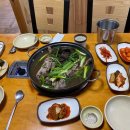 약산궁 능이버섯 이미지