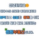 럭셔리수