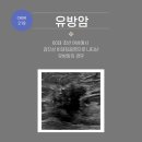 박근준유외과의원 이미지