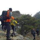 산울림 이미지