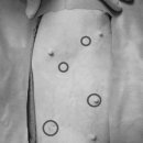 동물의료센터24인치 이미지