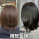 서울숲 1인 미용실 [레브도레]_쿨톤 에쉬 염색 후기