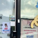 구름9-6 펫 살롱 이미지