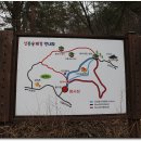 산꽃벚꽃오토캠핑장 이미지