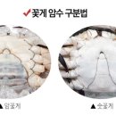 진구네간장게장 이미지