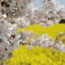 지티행정사사무소 이미지