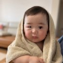 한 소프트 | 르주르 소프트 유아 섬유유연제 한 달 사용 후기: 아기 수건·손수건 세탁 꿀팁