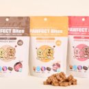 벤지애견 이미지