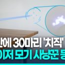 치직