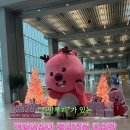 대왕PC | “ 잔망루피 ” 보러간 국립아시아문화전당 도서관 후기 | 광주 가볼만한곳 , 운영시간