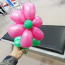 에이엔씨코리아 이미지