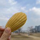 행복하개 희희멍멍 | 강아지 수제간식 행복하개희희멍멍 쌀마들렌 멍치킨