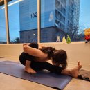 요가(오전) 이미지