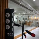 CKD 무도 휘트니스 이미지