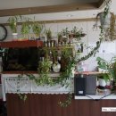 서봉산산림욕장 이미지