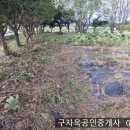 강화읍-15 이미지