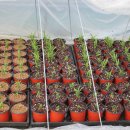 박광수농장 이미지