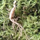 세근농장 이미지