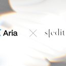 아리아아트