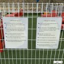 카페:그루잠 | [대전 근교 카페] 공주 동학사 애견동반 가능 카페 ‘그루잠’ 드라이브 다녀온 후기🚙🚗