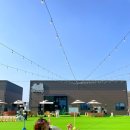 위아더멍 | 경기도 근교 애견동반 식당에서 bbq 즐기기_ 원주 위아더멍 내돈내산 후기