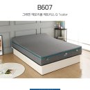 H9169 네이버블로그