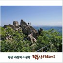 제288차 정기산행 충남 서산 팔봉산(362m),황금산(156m)*서산의 소금강 암릉 8봉과 다도해 조망/황금색 적벽 주상절리 트레킹*산행공지 2017.04.09. 04:00출발 이미지