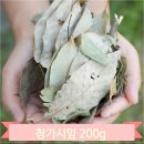 명초