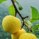 12월 3일 수요일 간추린 뉴스와 날씨 이미지