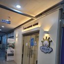 해뜨는댕 이미지