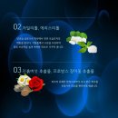 피부엔 이슬 이미지