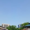 초당회 티스토리