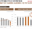 펠리체플러스 이미지