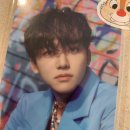 개이쁘다 이미지