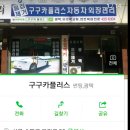 구구카플러스