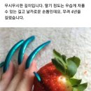 마녀손톱 이미지