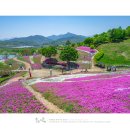 04-16(일)_4월정기산행_산청 태봉산+생초국제조각공원 이미지